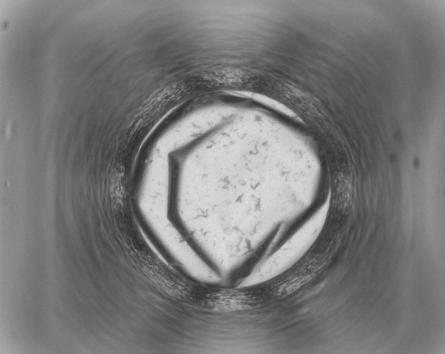 X0000058790612200510211815