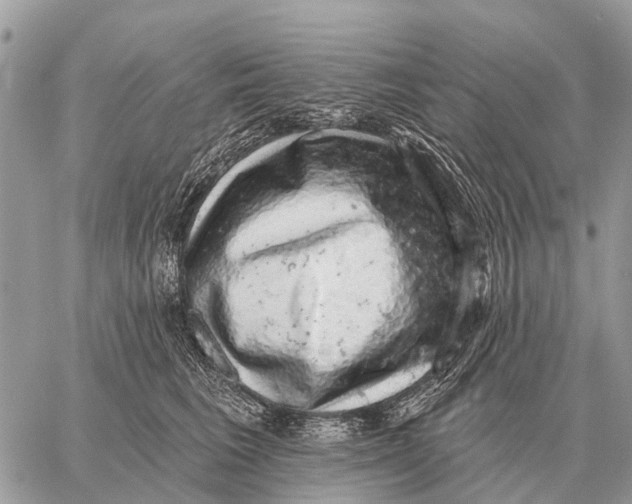 X0000058790613200510211815