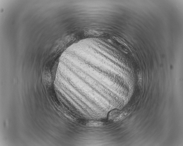 X0000058790617200510211815