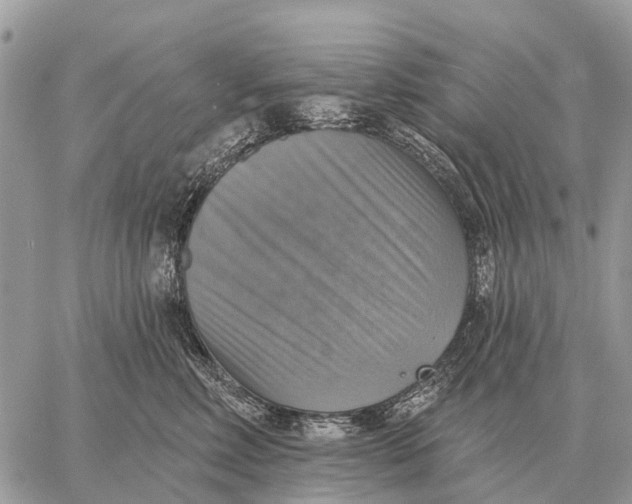X0000058790618200510211815