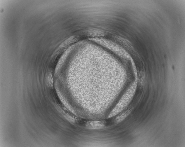 X0000058790622200510211815