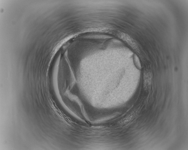 X0000058790628200510211814