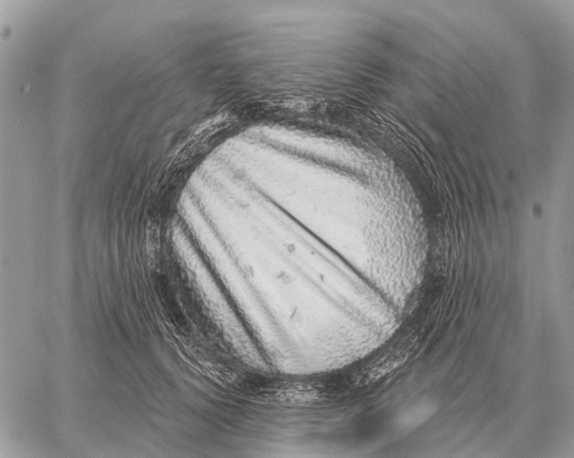 X0000058790656200510211814