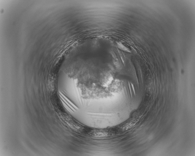 X0000058790658200510211814