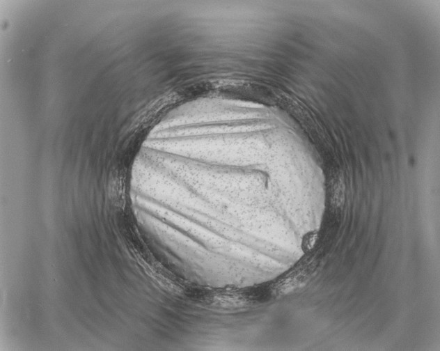 X0000058790666200510211814