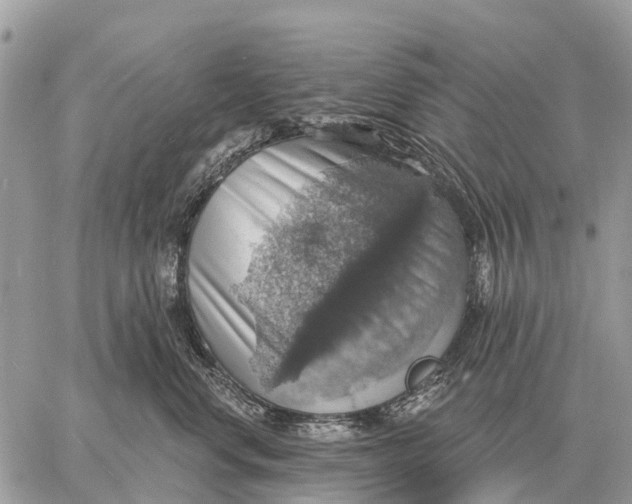 X0000058790668200510211815