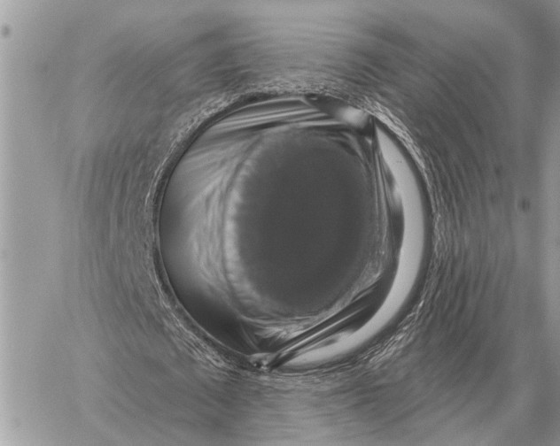 X0000058790673200510211814