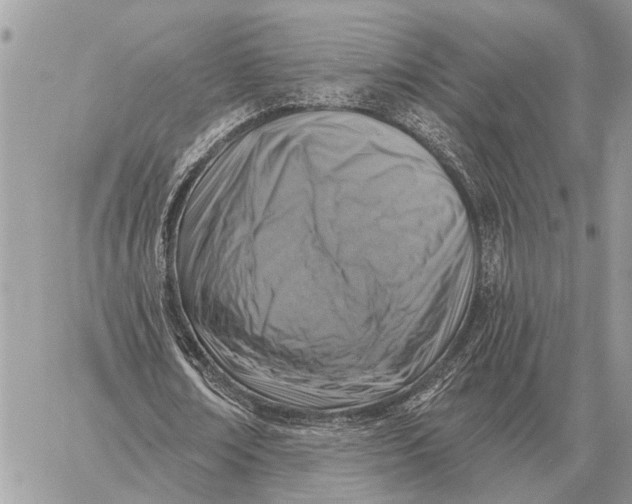 X0000058790674200510211814