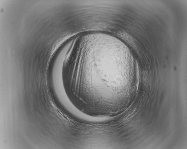 X0000058790676200510211814