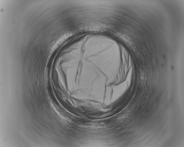 X0000058790678200510211814