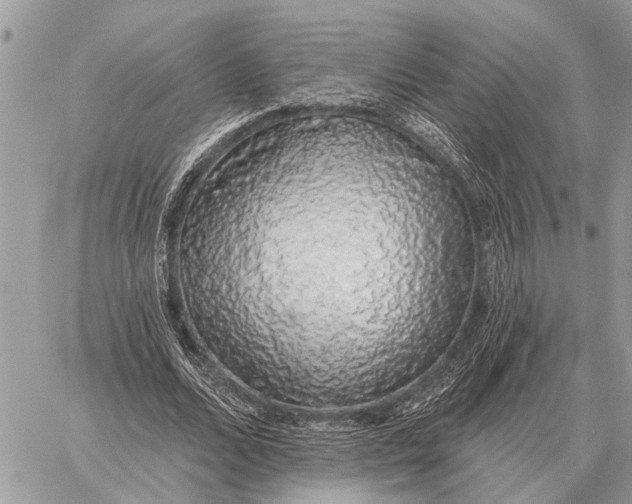 X0000058790680200510211814