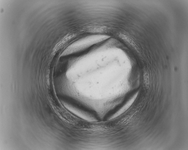 X0000058790682200510211814