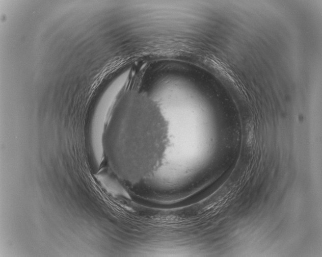 X0000058790685200510211814
