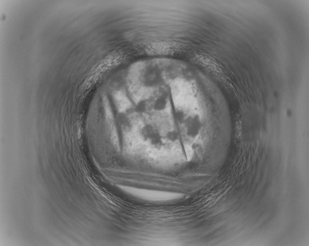 X0000058790687200510211814