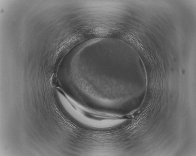 X0000058790689200510211814
