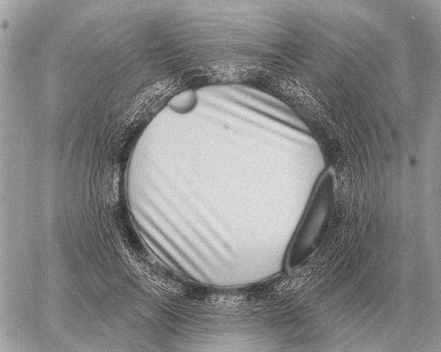 X0000058790694200510211813
