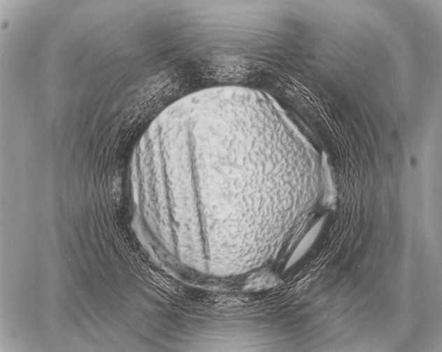 X0000058790697200510211813