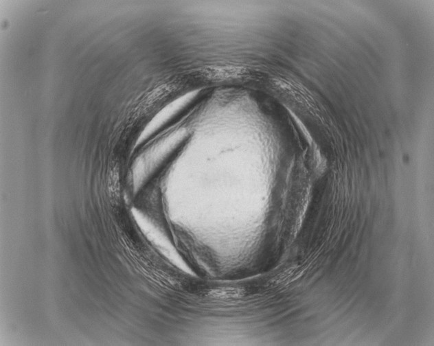 X0000058790700200510211813