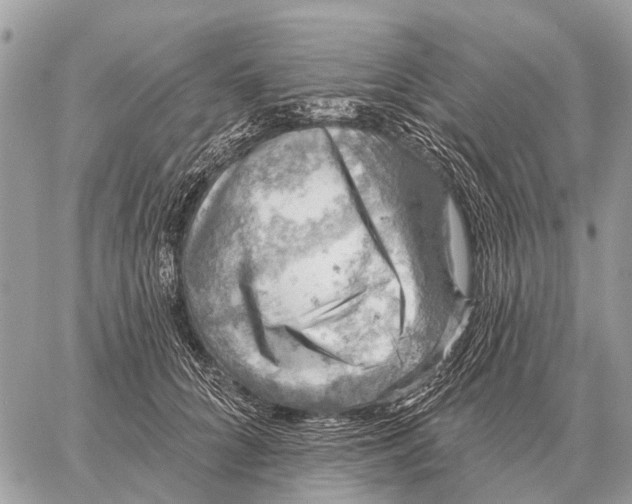 X0000058790704200510211813