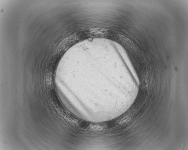 X0000058790706200510211813