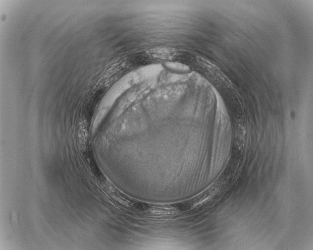 X0000058790707200510211813