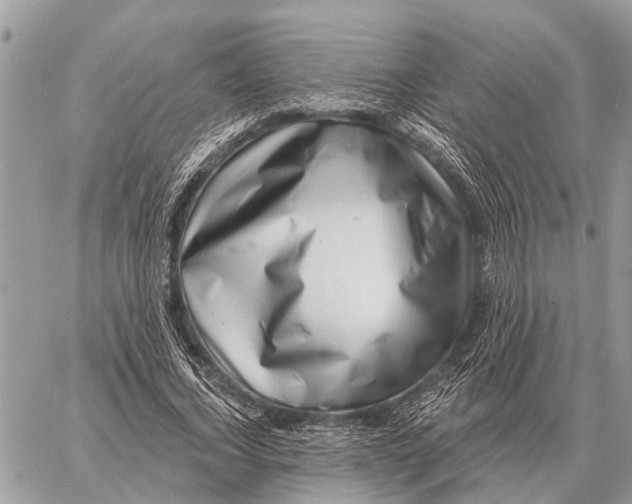 X0000058790732200510211812