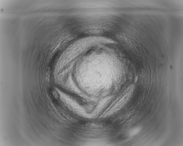 X0000058790739200510211813