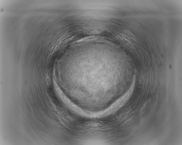 X0000058790743200510211813