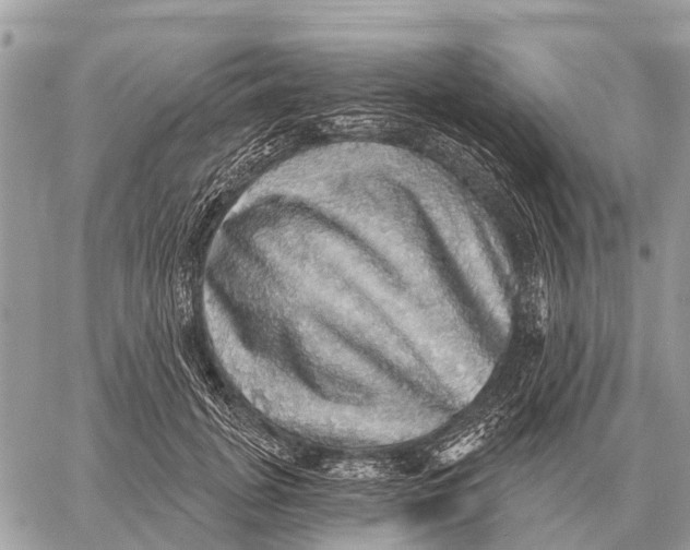 X0000058790751200510211813