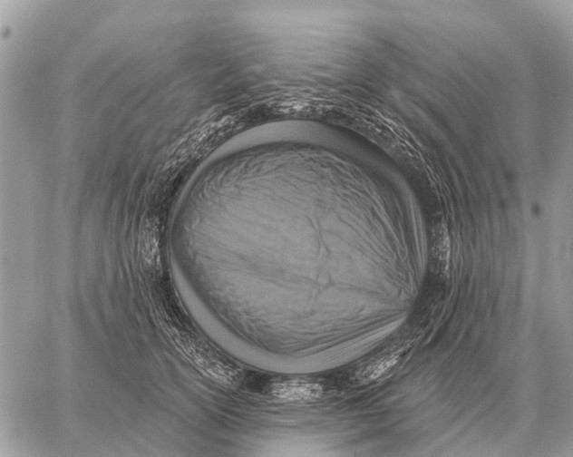 X0000058790754200510211813