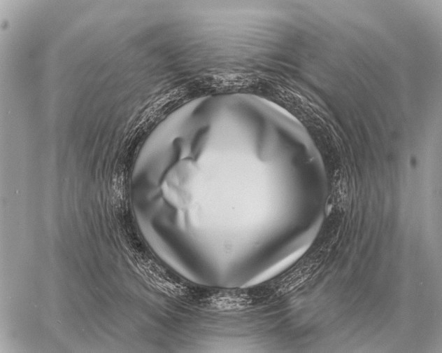 X0000058790756200510211813