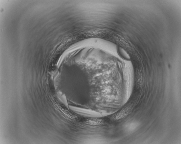 X0000058790758200510211813