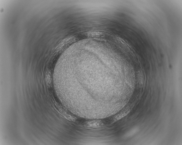 X0000058790761200510211813