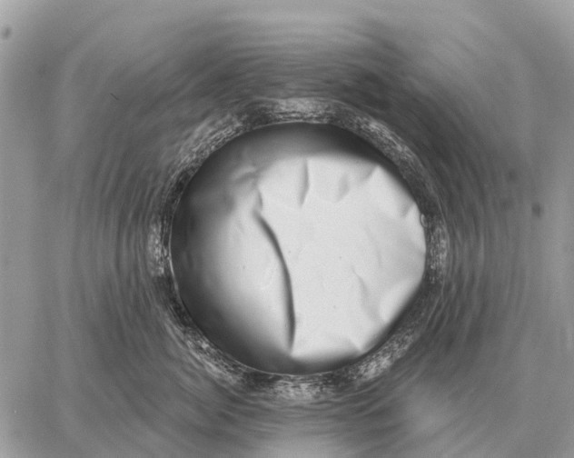 X0000058790764200510211813
