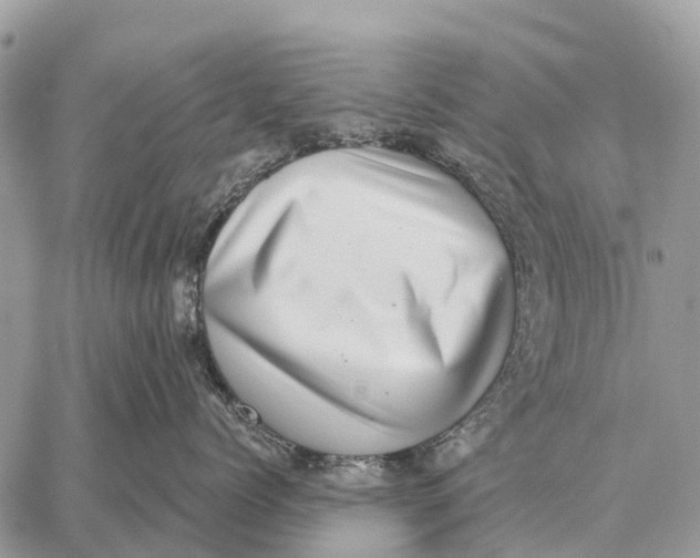 X0000058790768200510211813