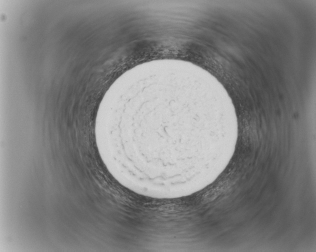 X0000058790769200510211812