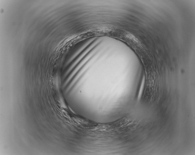 X0000058790773200510211812