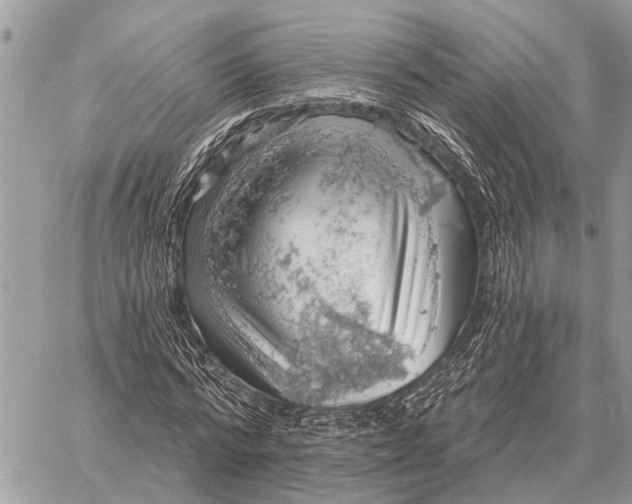 X0000058790776200510211812