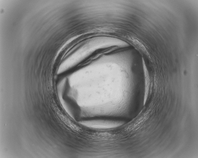 X0000058790784200510211812