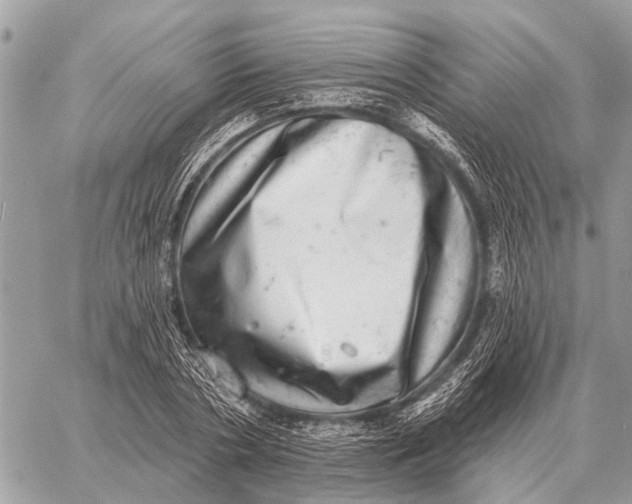X0000058790786200510211812