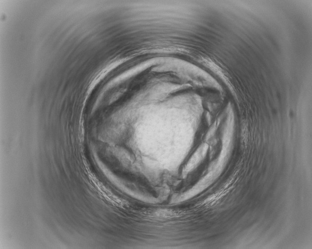 X0000058790787200510211812