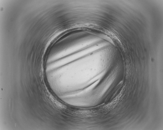 X0000058790792200510211812