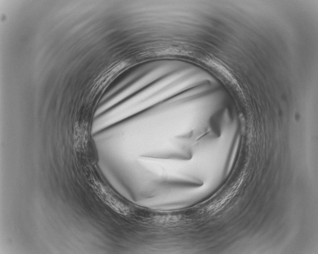 X0000058790793200510211812