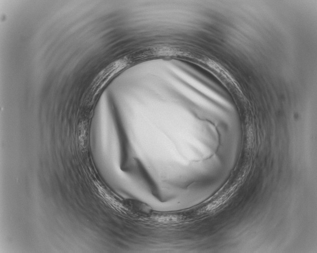 X0000058790801200510211812