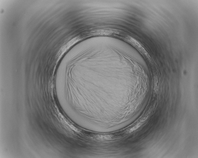 X0000058790802200510211812