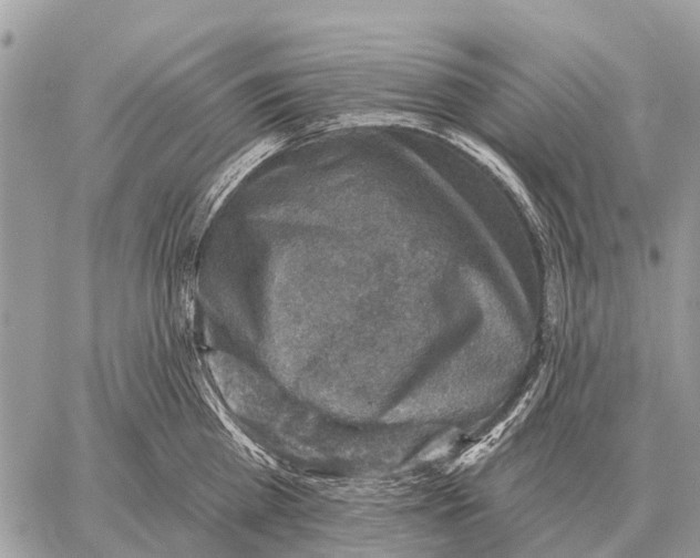 X0000058790809200510211812