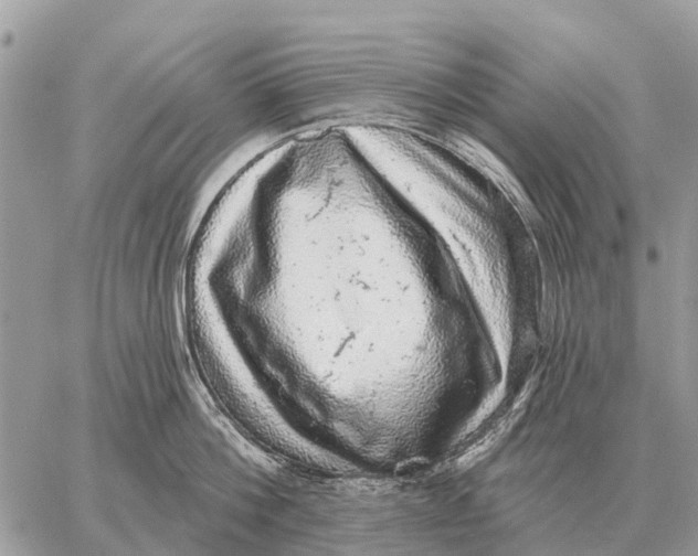 X0000058790812200510211811