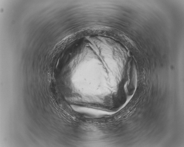 X0000058790821200510211811
