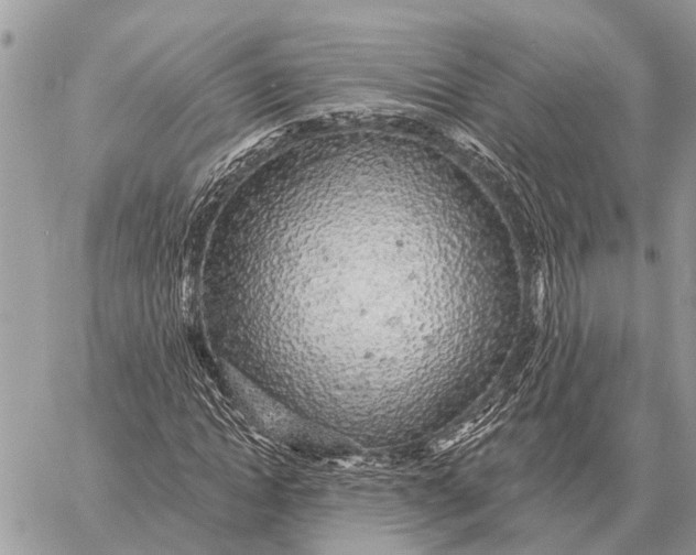 X0000058790822200510211811