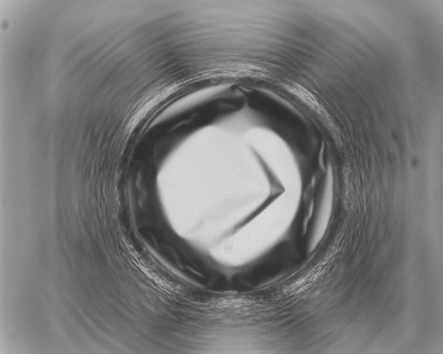 X0000058790834200510211811